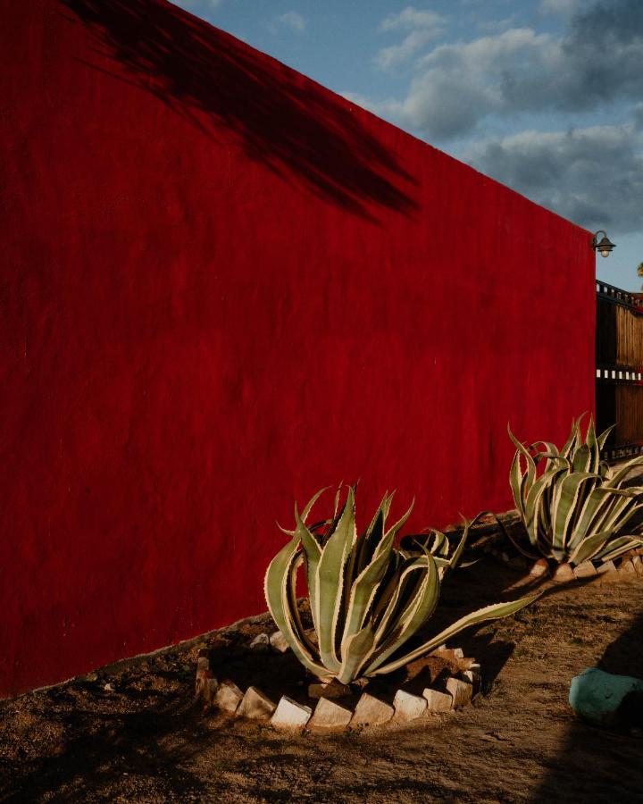 Cabana R Y A Valle De Guadalupe Exteriör bild